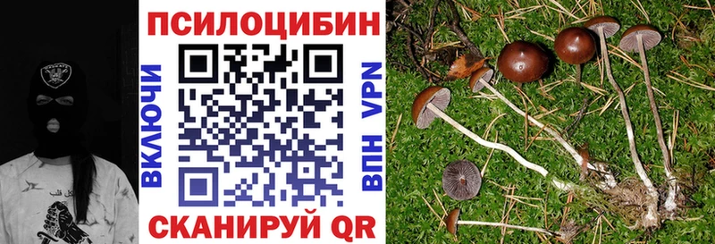 Галлюциногенные грибы Cubensis Ессентукская